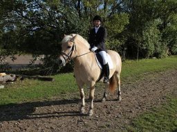 img-5284-075